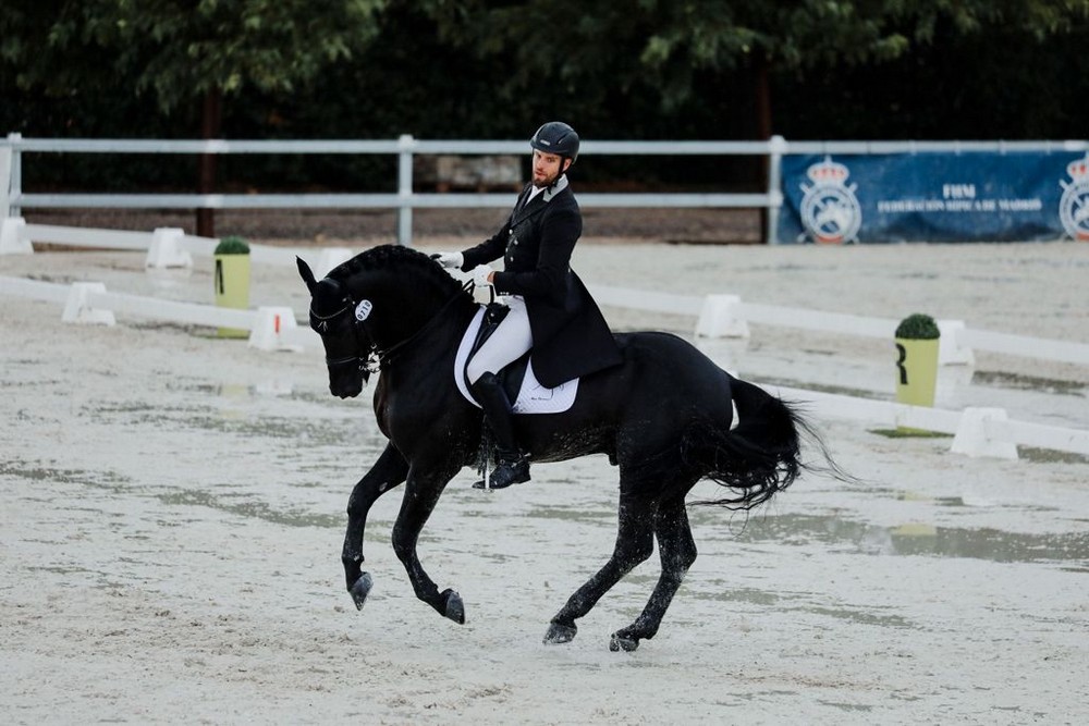Tres concursantes navarros en el Campeonato de España Caballos Jovenes.